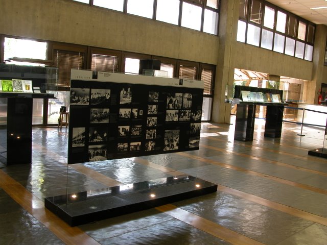 Galeria Museu Embrapa 10